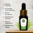 Luxuriate: Citronella Essential Oil - 10ml