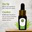 Luxuriate: Citronella Essential Oil - 10ml