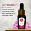 Luxuriate: Geranium Essential Oil - 10ml