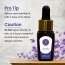 Luxuriate: Lavender Essential Oil - 10ml