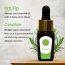 Luxuriate: Rosemary Essential Oil - 10ml