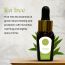 Luxuriate: Tea Tree Essential Oil - 10ml