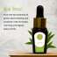 Luxuriate: Tea Tree Essential Oil - 10ml