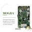 Luxuriate: Mogra Fragrant Natural Bambooless Incese  Pack of 20 sticks (50gm)