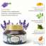 Luxuriate: Lavender Night Cream 50g