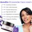 VITMINVEDA: Lavender Face Cream  50g