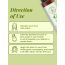 VITMINVEDA: Natural Cucumber Face Wash 100ml