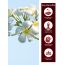 VITMINVEDA: Nagchampa Bambooless Incense Stick 100gm