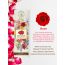 VITMINVEDA: Rose Natural Incense Stick Agarbatti 100gm