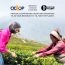 Celeste: Lemon Mint Tea 150gm