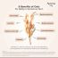 Aveeno: Soothing Relief Moisture Cream - 227g