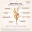Aveeno: Dermexa moisturising cream 206 g