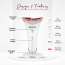 Protouch: Skin Lift Plus Device