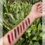 Love Earth: Blush - Lips - Eyelids Palette - 16gm