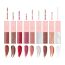Love Earth: Lip Gloss Pack of 9 Multi Colors - 2 ml each
