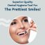 GUBB: Dental Floss Pick