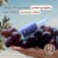Uppeel: Body Mist Discovery Set - 3 x 20ml