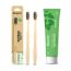 Mint Toothpaste And Natural Clean Toothbrush Pack of 2 Combo | Mint Oral Care...