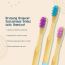 Amwoodo: Orby Kids Bamboo Toothbrush For Kids | 100% Natural Soft Bristles | Pink, Lavender, Blue | Pack of 3