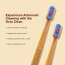 DENCRUS: Octa Clean Eco-Friendly Toothbrush | Octagonal Handle With Soft Bristles | Pack of 3