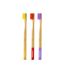 Amwoodo: Orby Plus Bamboo Toothbrush For Adults | 100% Natural Soft Bristles | Lavender, Yellow, Red | Pack of 3