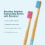 Amwoodo: Orby Plus Bamboo Toothbrush For Adults | 100% Natural Soft Bristles | Blue & Pink | Pack of 2