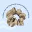 GUBB: Satin Scrunchie Brown