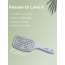 GUBB: French Hues Paddle Vent Brush