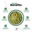 Nutraj: Pumpkin Seeds 500gm