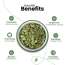 Nutraj: Pumpkin Seeds 800gm