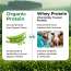 Vlado's Himalayan Organics: Organic protein Powder I Plant protein I 28gm Protein , 5gm BCAA - Unflavoured - 500gm
