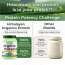 Vlado's Himalayan Organics: Organic protein Powder I Plant protein I 28gm Protein , 5gm BCAA - Unflavoured - 500gm
