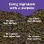 Nourish You: Antioxidant Boost Trail Nut & Super Seed Mix 300gm Jar