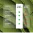 INJA Wellness: Super Greens |Complete Daily Greens for Men & Women | 7 Sachets