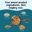 Nourish You: Protein Boost 6 in 1 Trail & Nuts Super Seed Mix 300gm Jar