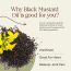 Soil Origin: Wood Pressed Black Mustard Oil 1L