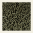 Soil Origin: Moringa Wheat Pasta (Seasoning Masala Inside)  500gm
