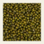 Soil Origin: Whole Green Gram (Moong) 500gm