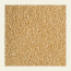 Soil Origin: Rajgira Whole (Amaranth) 500gm