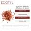 Ecotyl: Red Sandalwood Powder  100gm