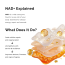 Beyond Beyond: The Ultimate Night Repair SuperCream 50gm