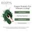 Ecotyl: Spirulina Powder| High Protein & Nutrients | 100gm