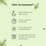 Perfora: Mouthwash - Probiotic Rinse (Thyme Mint) - 300ml