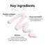 Its Skin: Peptide Collagen Serum   40ml
