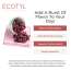 Ecotyl: Dried Blueberries | Whole Dried Fruit | Healthy Snack |150gm