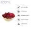 Ecotyl: Blueberres & Dried Cranberries Combo | Healthy Snacks | Dried Fruits | 150gm Each