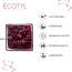 Ecotyl: Dried Blueberries | Whole Dried Fruit | Healthy Snack |150gm