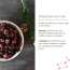 Ecotyl: Dried Blueberries | Whole Dried Fruit | Healthy Snack |150gm