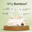 IMECO: Bamboo Facial Tissue | Soft & Highly Absorbent | 2-Ply | 100 Pulls Per Pack | Pack of 6
