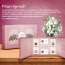 Nutraj: Wishes Double Delight    1000gm Diwali Gift Box